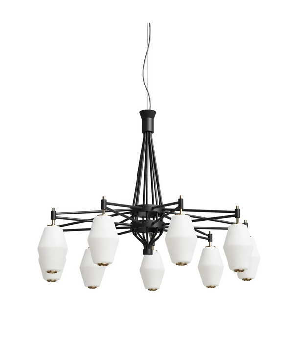 Northern  Dahl Chandelier
