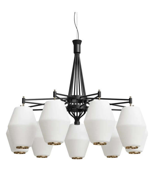 Northern  Dahl Chandelier