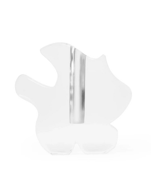 Draw Vase transparent