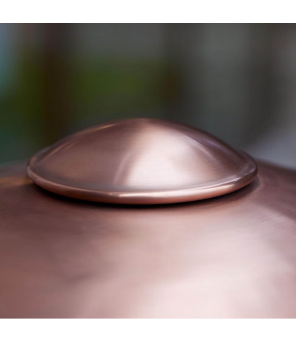 Fritz Hansen HL 410 Outdoor Muurlamp koper