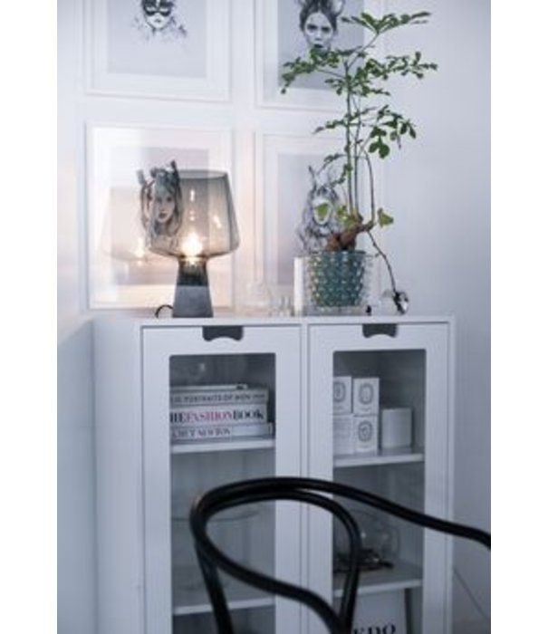 Asplund  Snow E kast 2 deuren