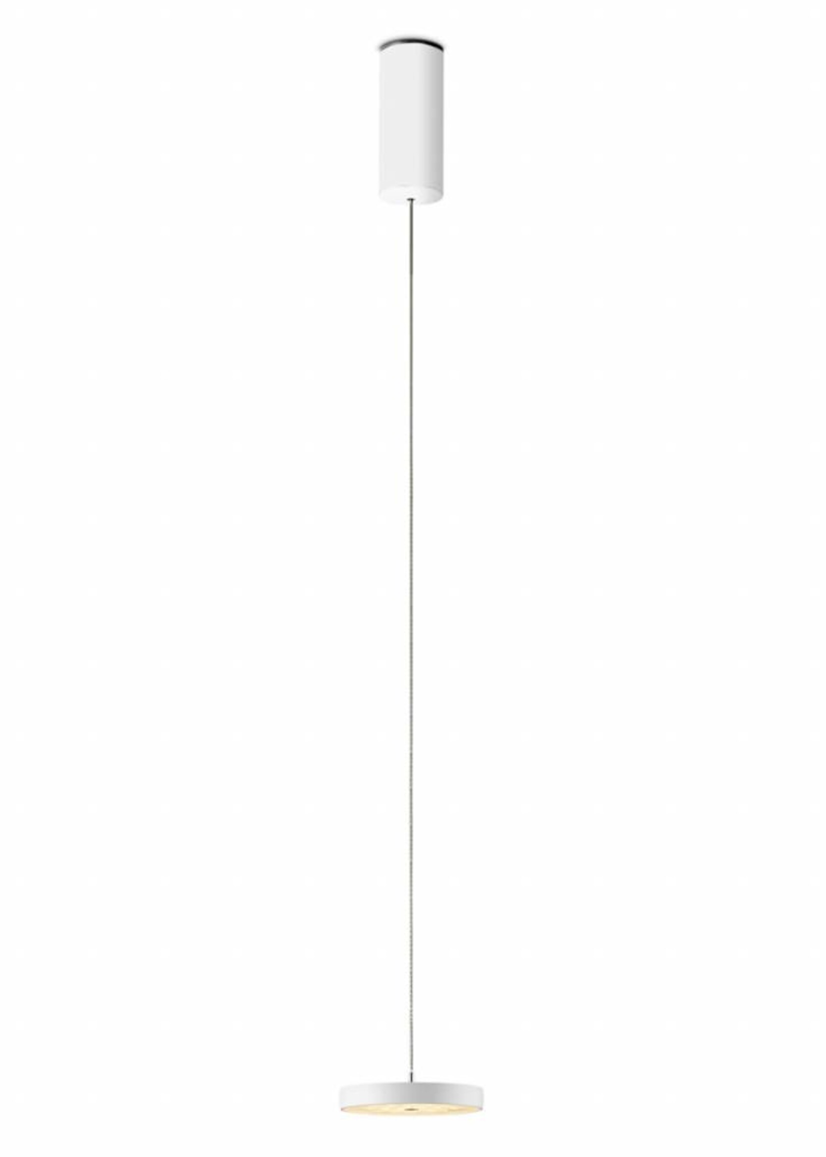 Oligo Decent 1 hanglamp