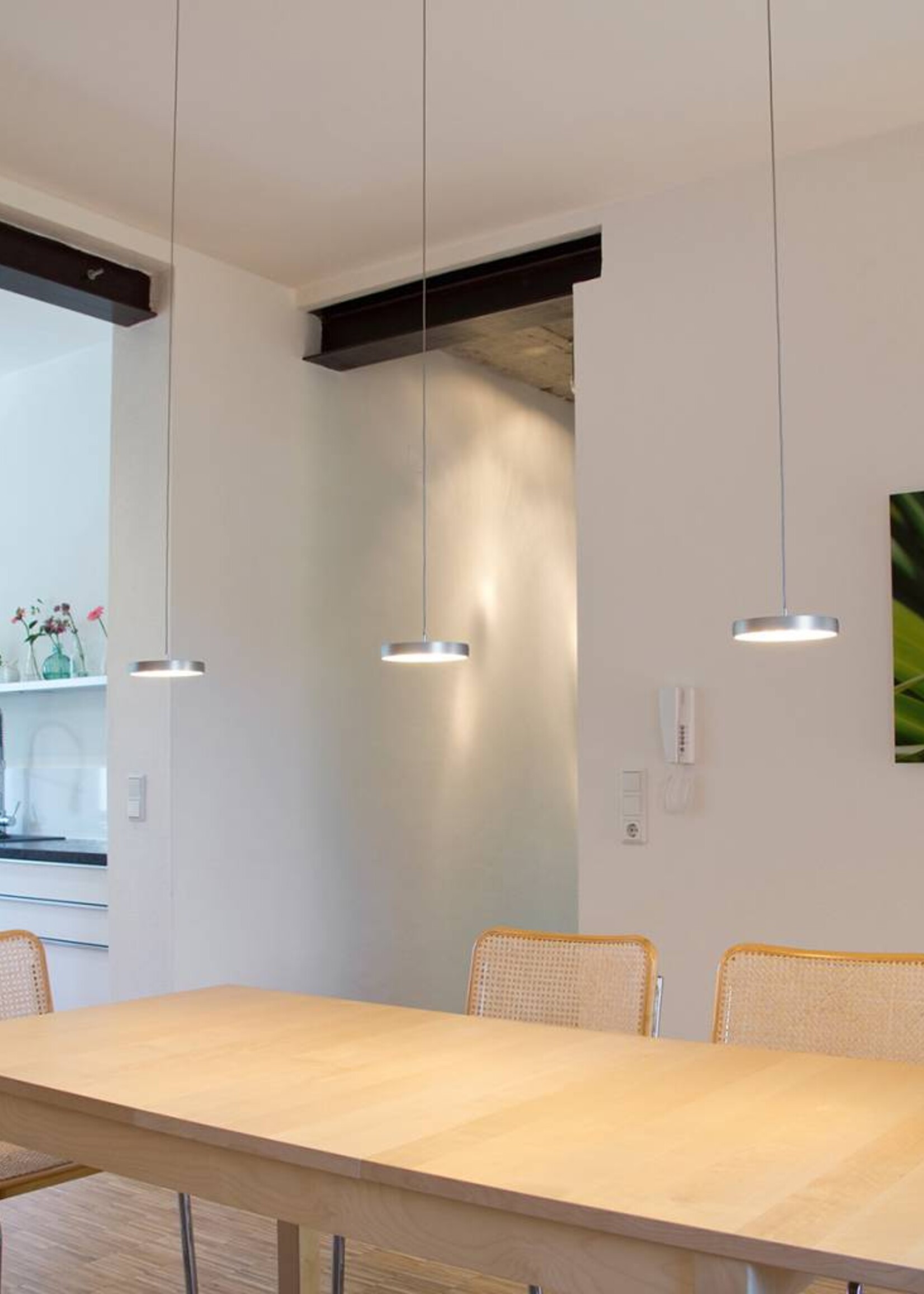 Oligo Decent 3 hanglamp