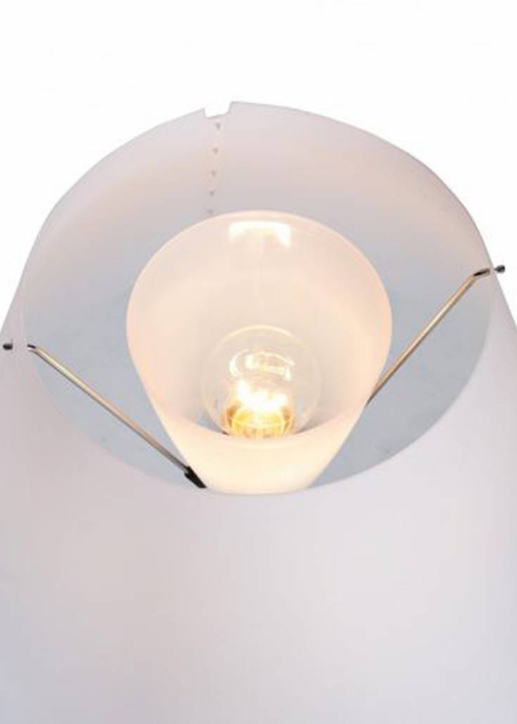 Luceplan Costanza Diffuser