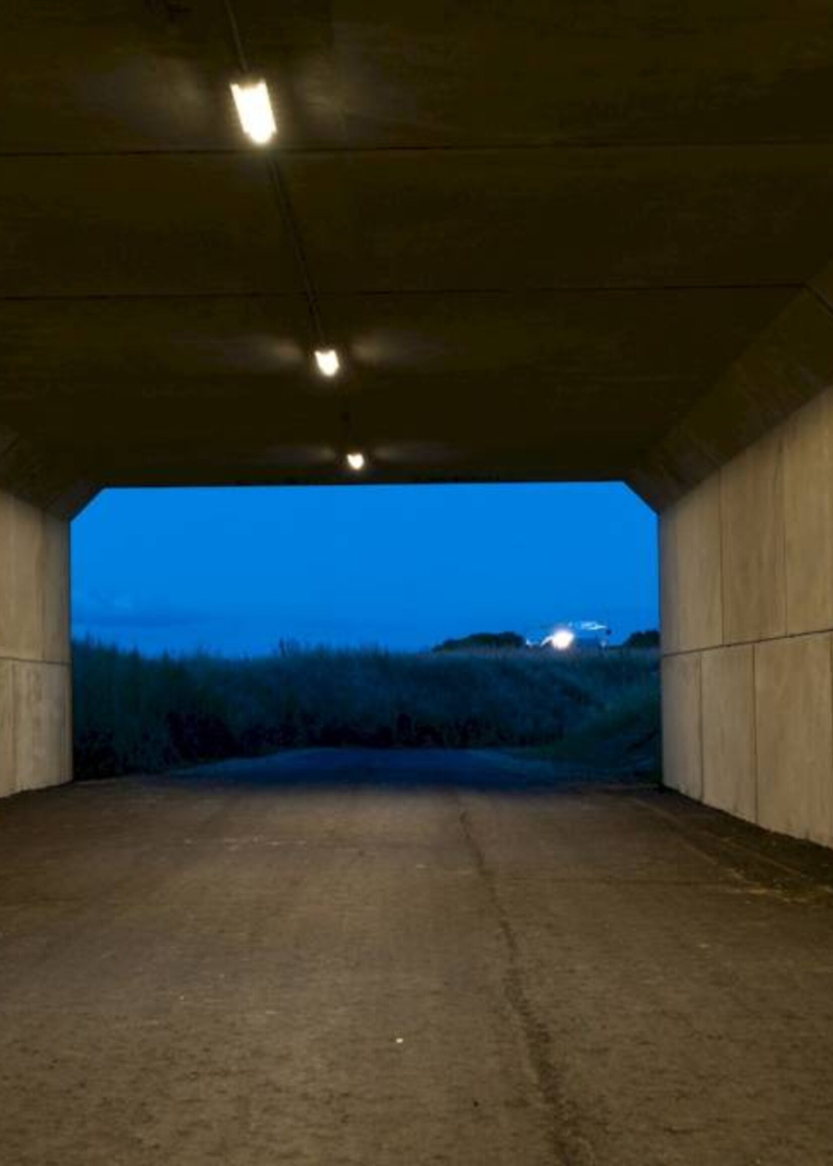 Louis Poulsen AL 600 wand/plafondlamp