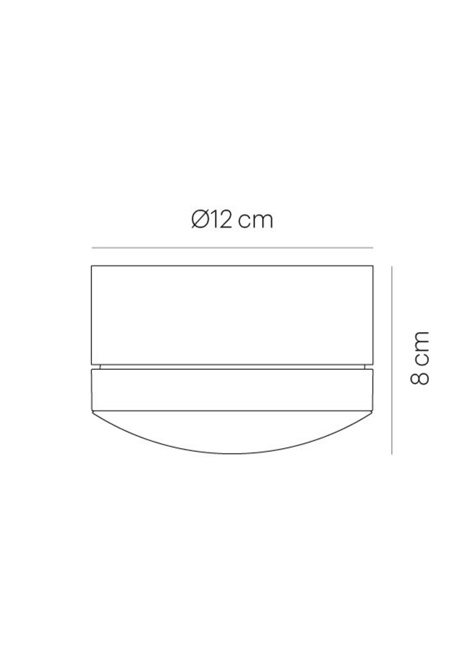 Grau Globe plafondlamp