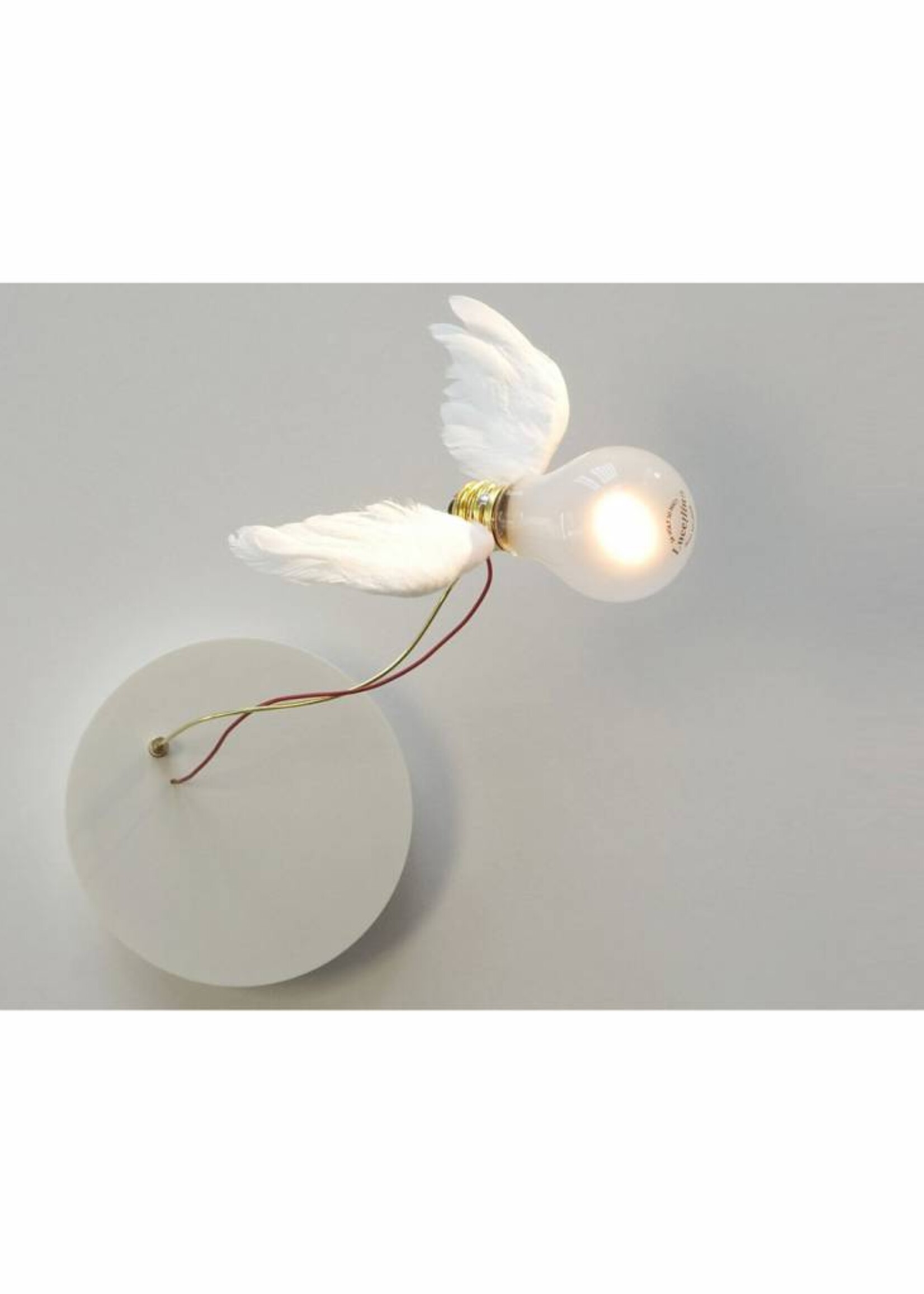 Ingo Maurer Lucellino NT led wandlamp