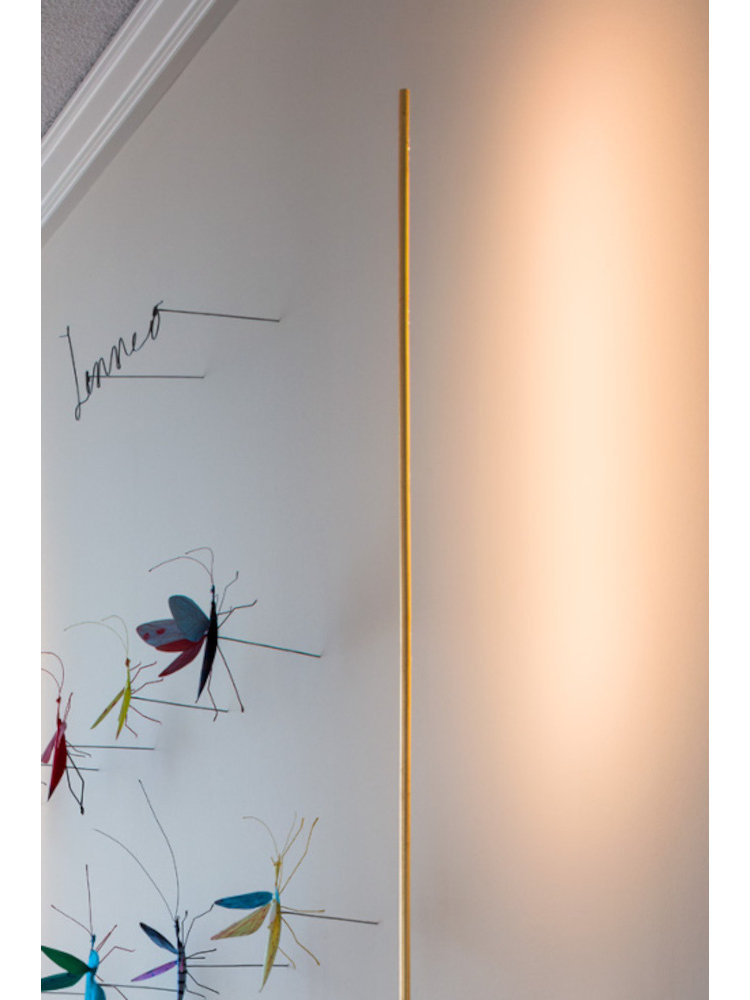indtryk hjørne Fiasko Catellani & Smith Light Stick F vloerlamp - Lichtstudio van der Hee
