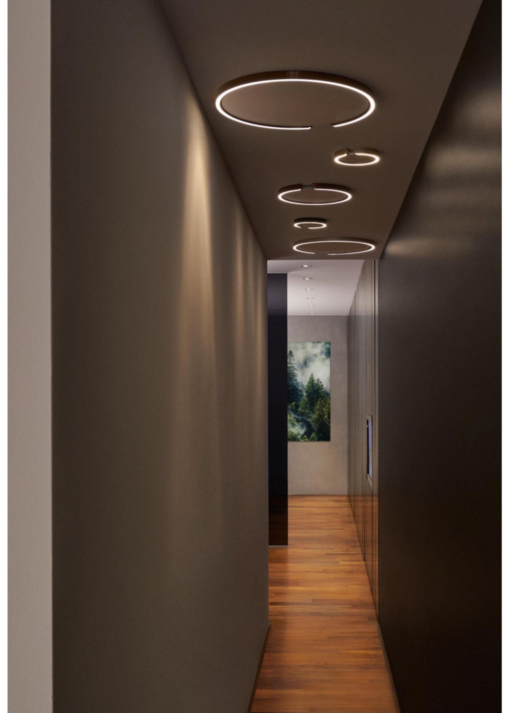 Occhio Mito Soffitto 20