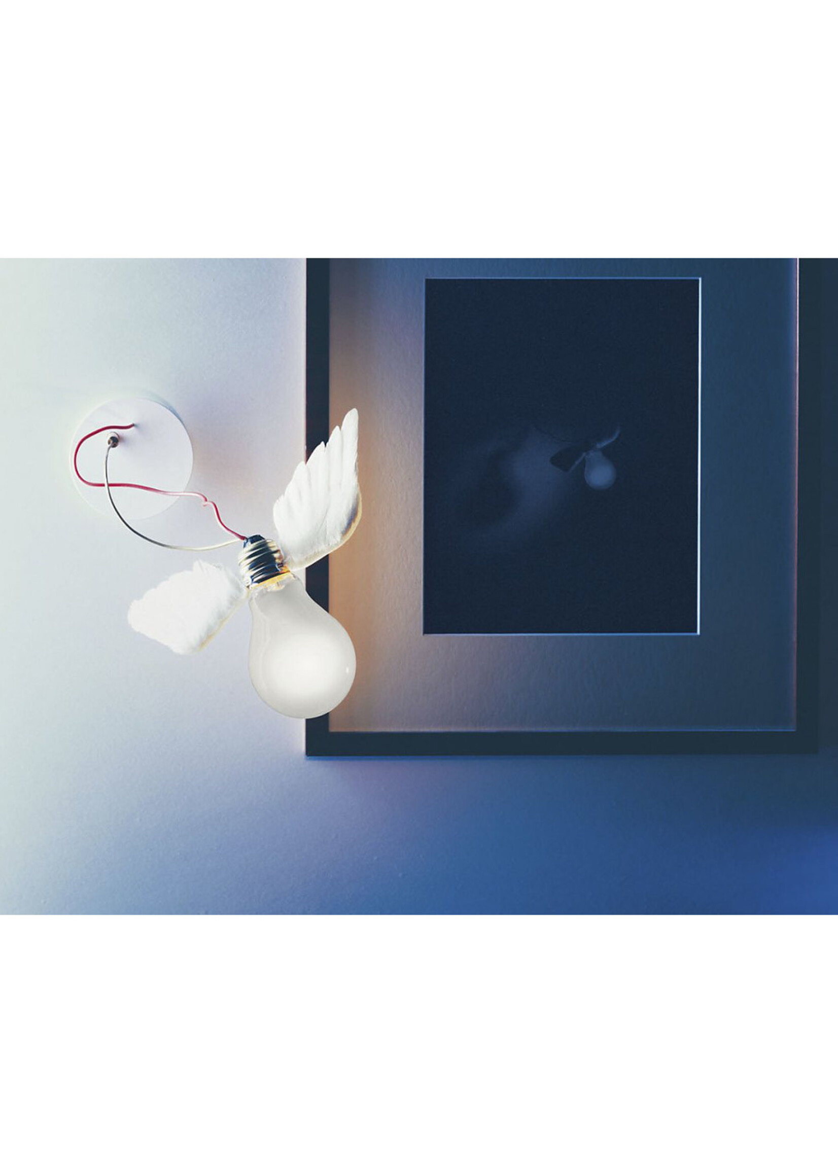 Ingo Maurer Lucellino NT led wandlamp