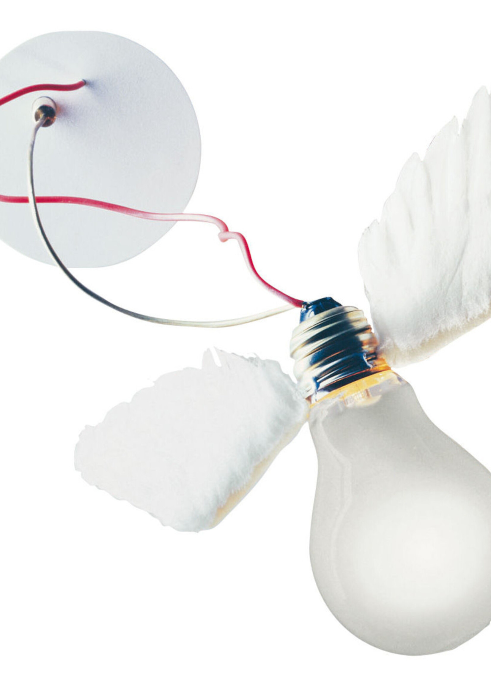 Ingo Maurer Lucellino NT led wandlamp