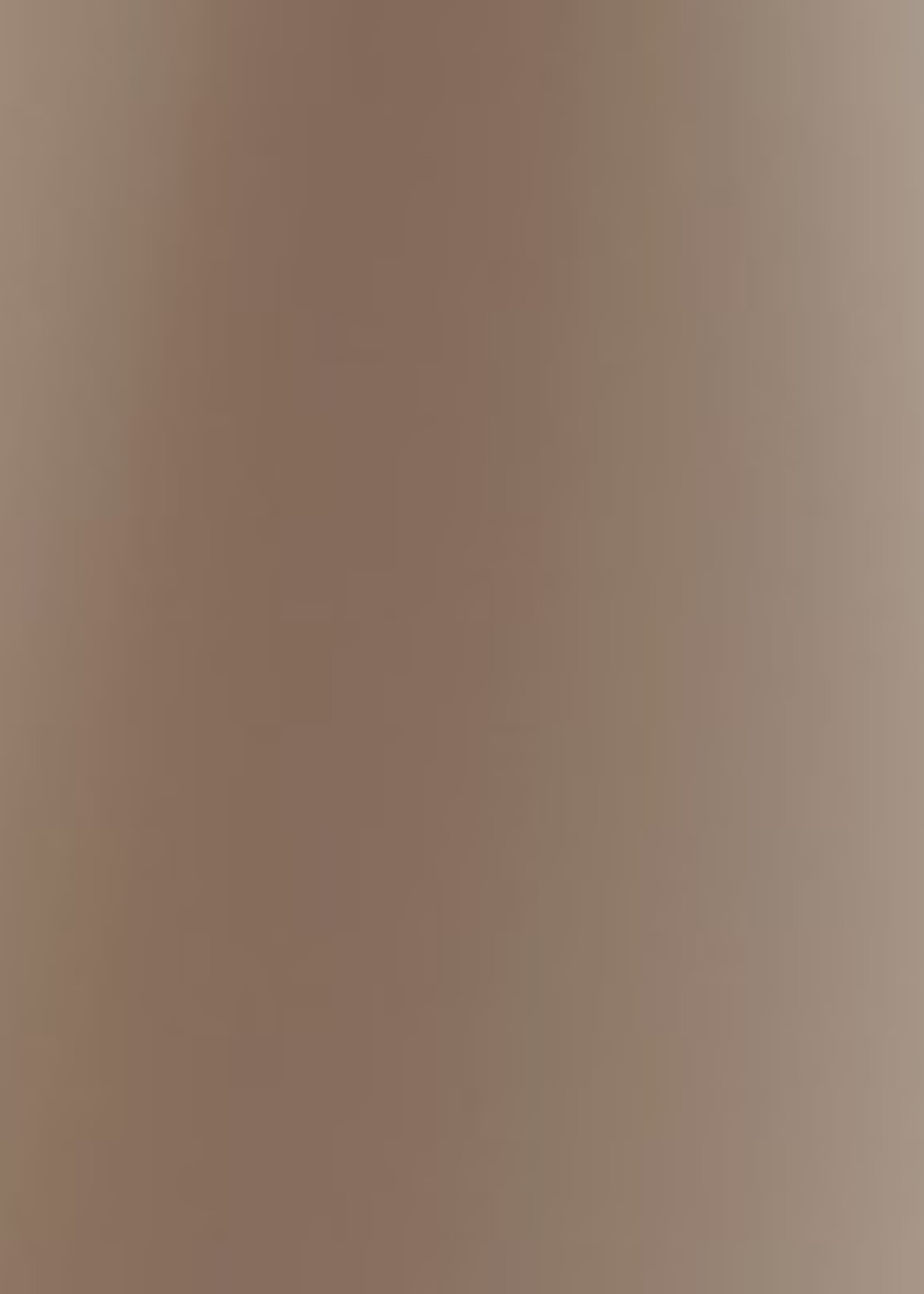 Luceplan Lady Costanza vloerlamp aluminium.dimmer