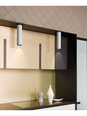 Luceplan E04  plafondlamp