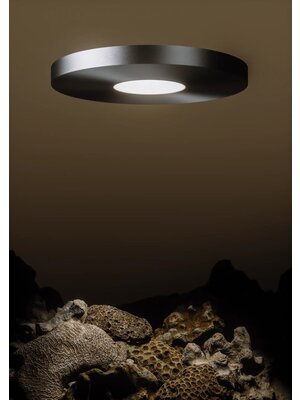 Ferrolight Dime Rond plafondlamp