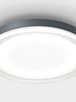 IP44 lisc plafondlamp