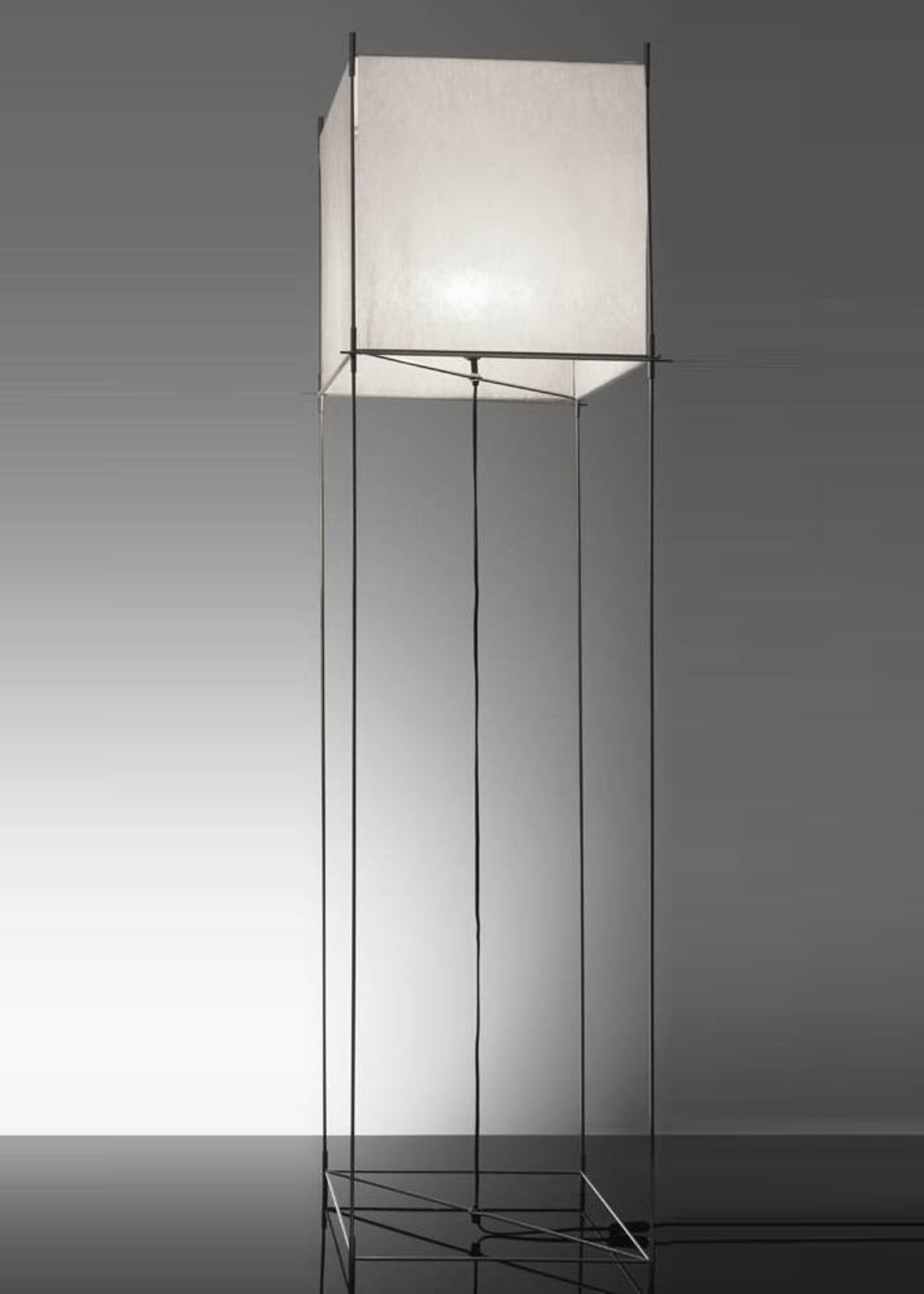Hollands Licht Lotek XL