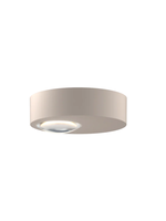 Grau Globe Box plafondlamp