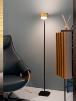Oligo Curved vloerlamp