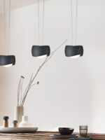 Oligo Curved wandlamp