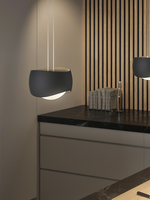 Oligo Curved 2 hanglamp