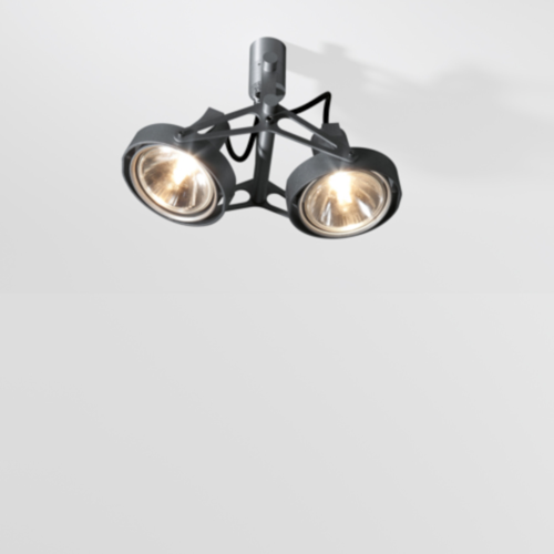 Modular Nomad 2x PAR30 plafondlamp Modular Nomad 2x PAR30 plafondlamp