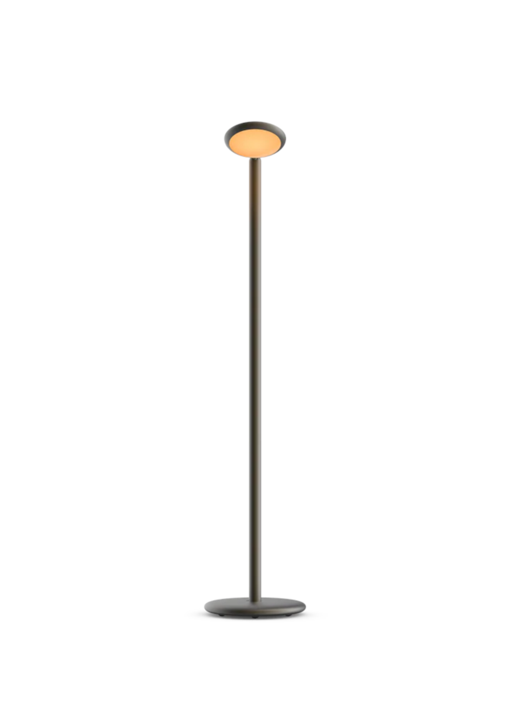 Grau Parrot portable vloerlamp