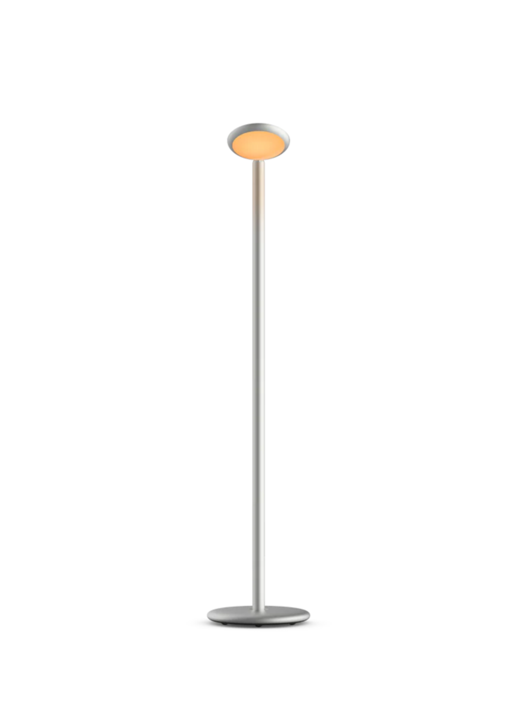 Grau Parrot portable vloerlamp