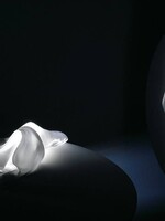 Ingo Maurer Delight wandlamp