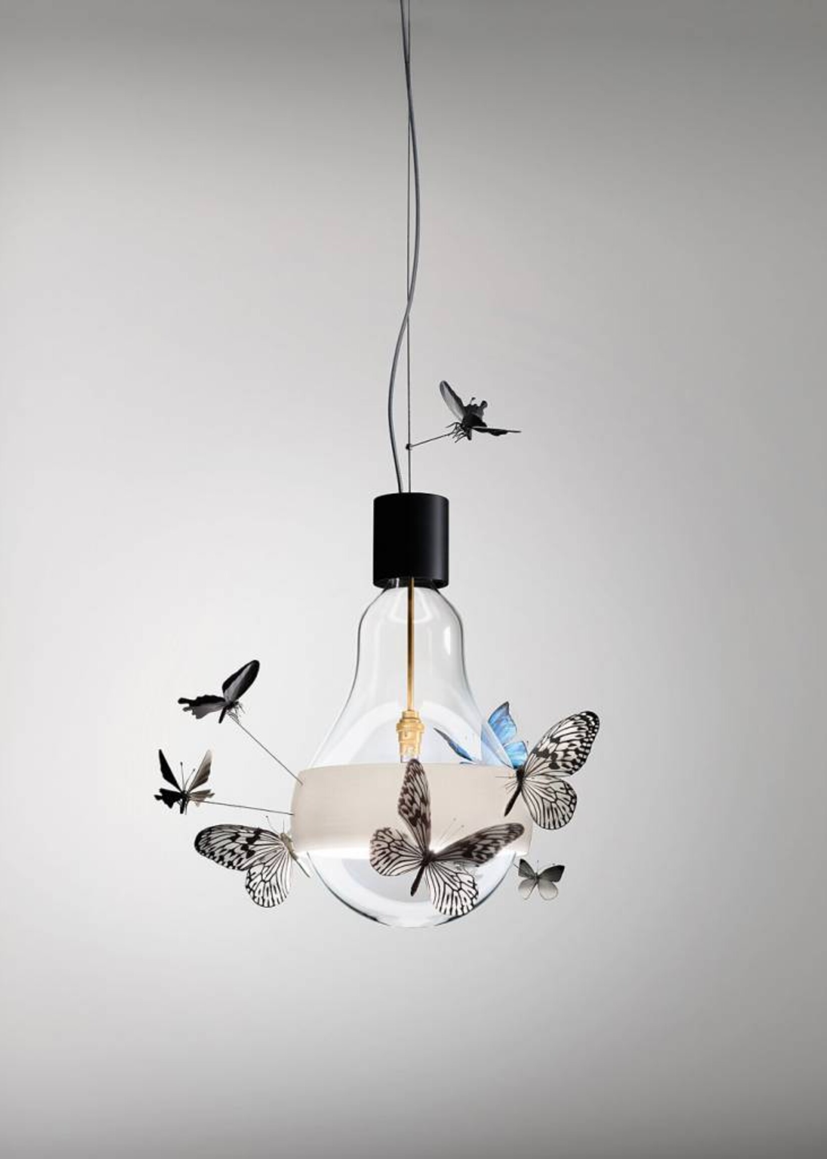 Ingo Maurer Flatterby