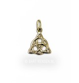 Triquetra hangertje - 14 krt goud