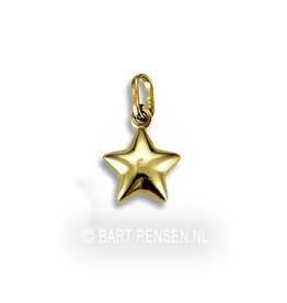Golden Star pendant