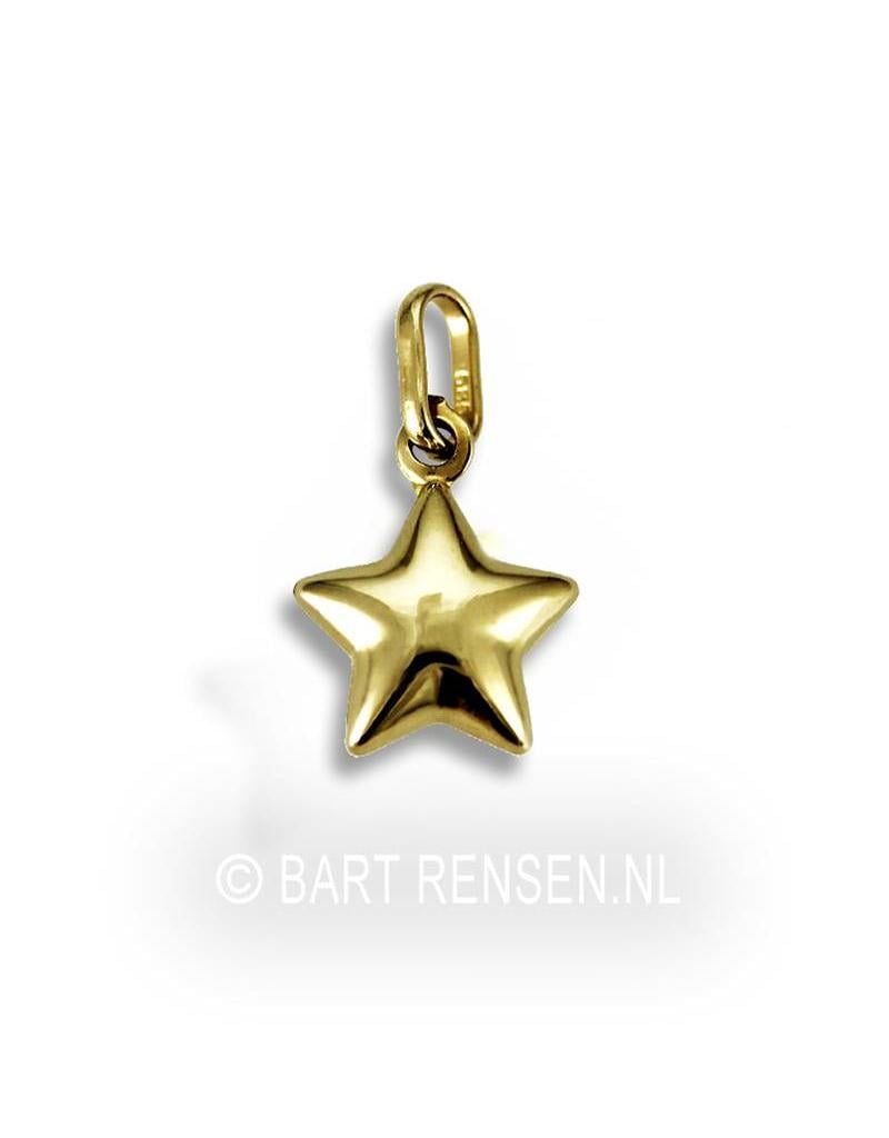 Golden Star pendant - 14 crt gold