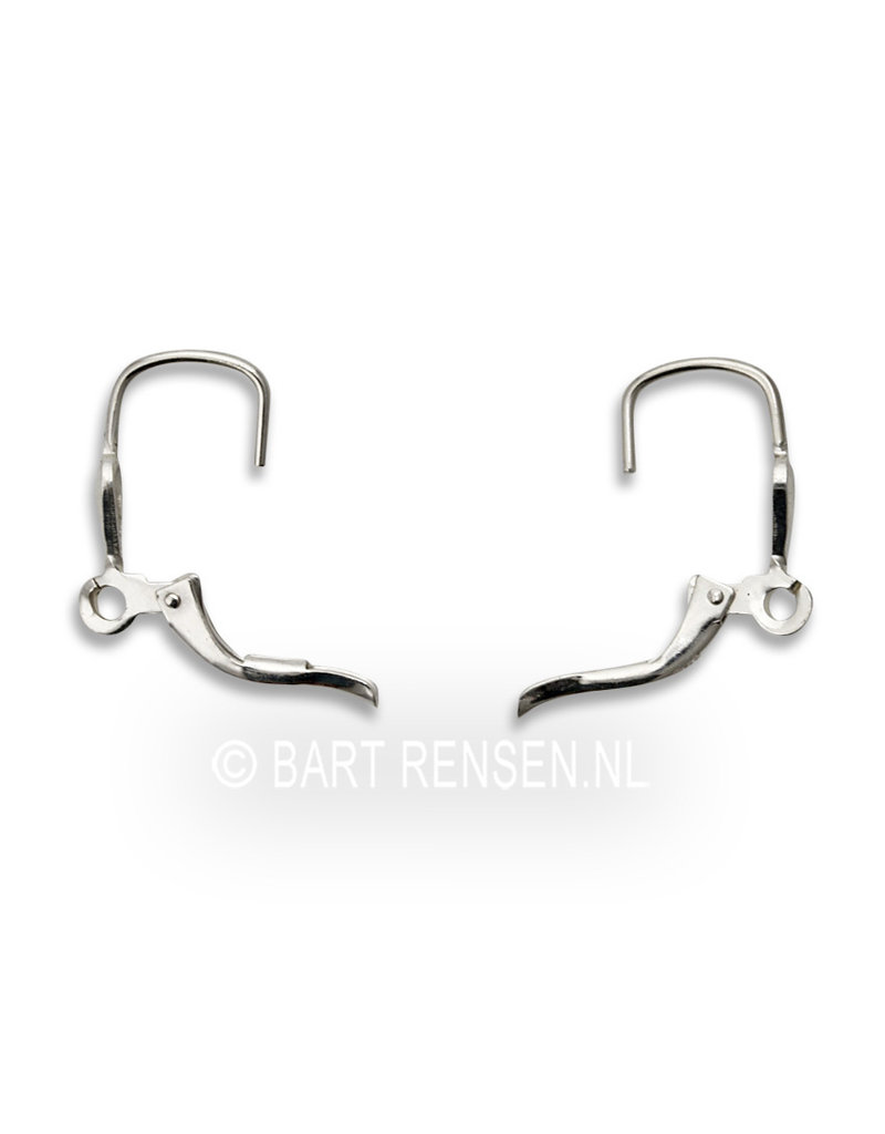 Silver ear hooks with hinge
