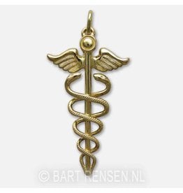 Golden Caduceus pendant