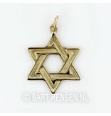 Hexagram hanger - 14 krt goud