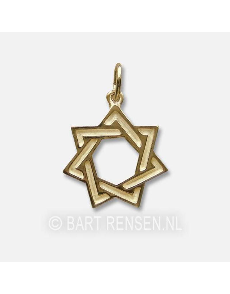 Zevenster hanger - 14 krt goud