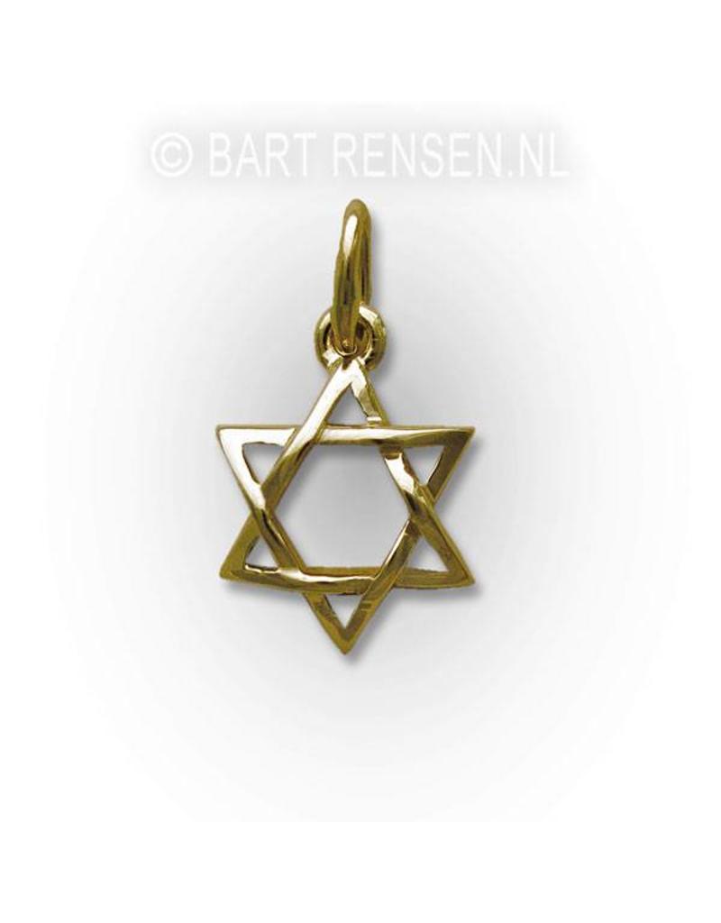 Hexagram hanger - 14 krt goud