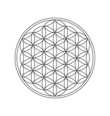 Engraving - Flower of Life