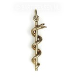 Rod of Asclepius pendant  - 14 carat gold