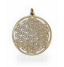 Gouden Flower of Life hanger