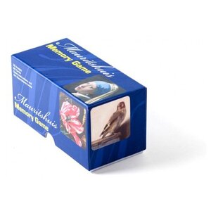 Geheugenspel Vermeer