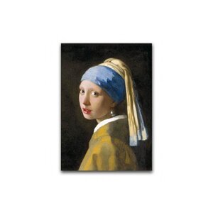 Poster Meisje met parel van Vermeer