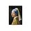 Poster Meisje met parel van Vermeer