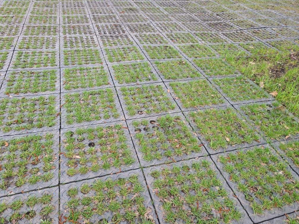 Kunststof roostermat - 490 x 490 x 50 mm