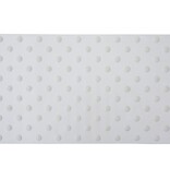 Podotactiele noppentegels blindengeleiding 62 x 81 cm