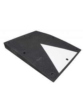 Rampe d'accès pour utilisateurs de fauteuil roulant