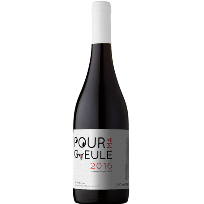 BLEND  GRAN RESERVA "POUR MA GUELE"  2016 FROM CHILE