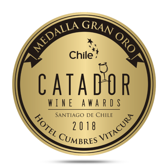 PISCO PREMIUM ICÓNICO RESERVADO 40° FROM CHILE