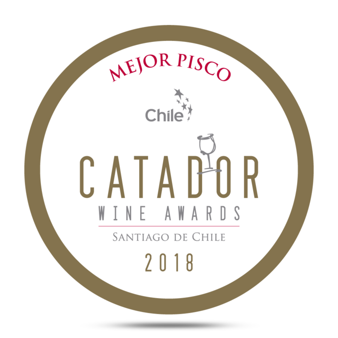 PISCO PREMIUM ICÓNICO RESERVADO 40° FROM CHILE