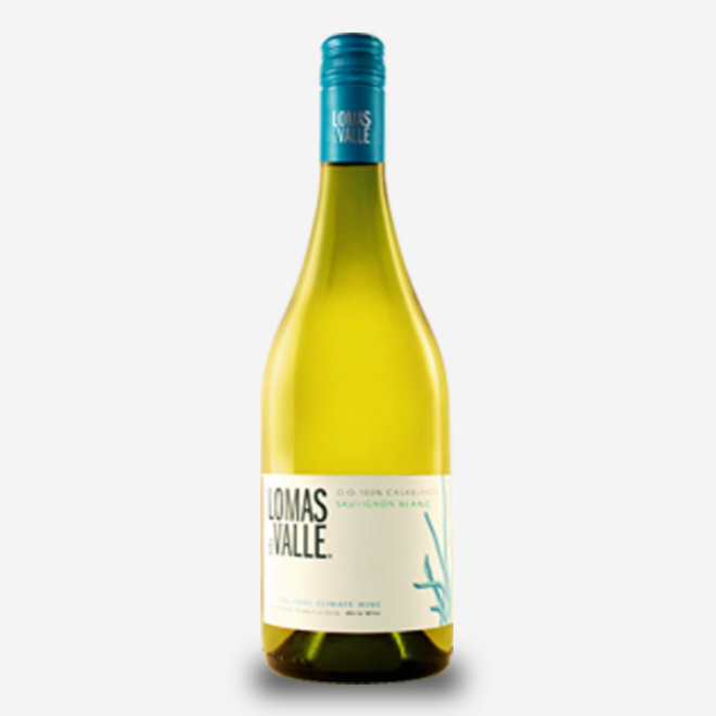 SAUVIGNON BLANC - 2019 - CHILE